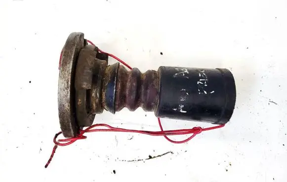 Coil spring mount