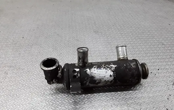 Citroen C2 EGR valve cooler