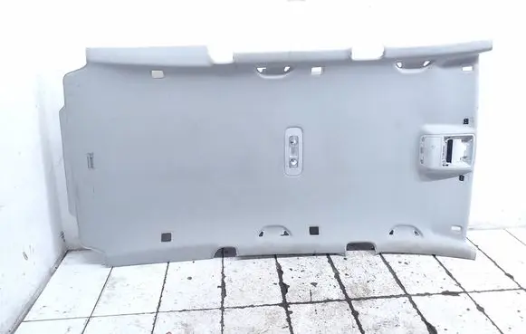 Volkswagen PASSAT B6 Headlining 3c9867501cs