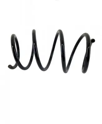 Front coil spring