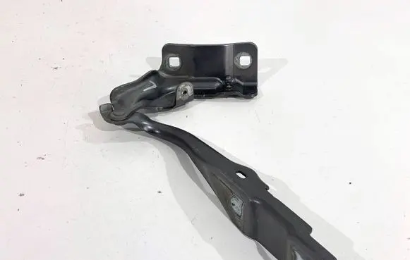Renault Arkana Engine bonnet/hood hinges 