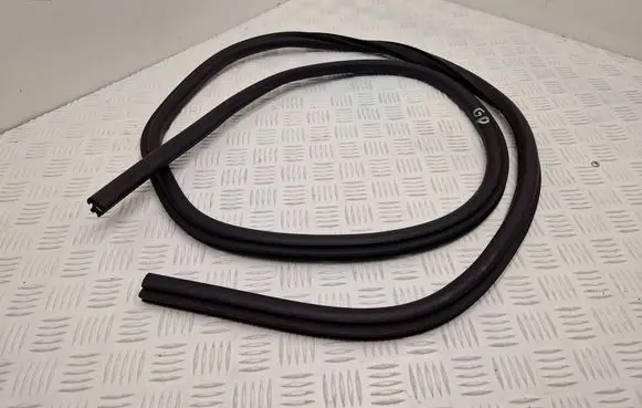 Ford Focus Rear door rubber seal (on body)