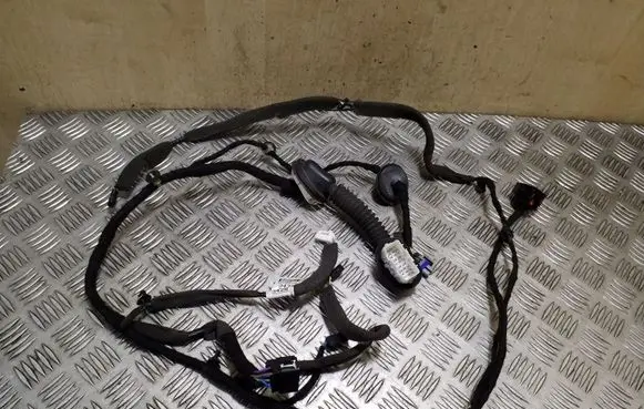 Rear door wiring loom