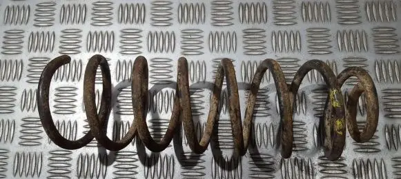 Rear coil spring