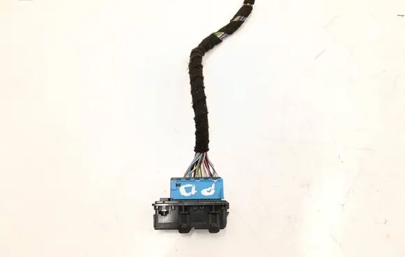 BMW 2 F46 Front door wiring loom 9221027
