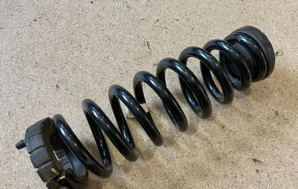 Rear coil spring