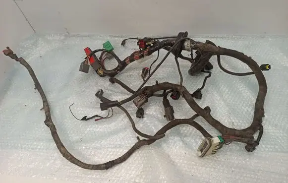 Ford Mustang IV Other wiring loom F5SB14A464AA
