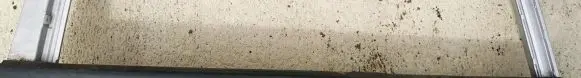Hyundai Terracan Rear door glass trim molding