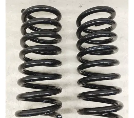 Rear coil spring