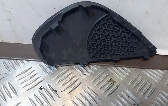 Side speaker trim/cover