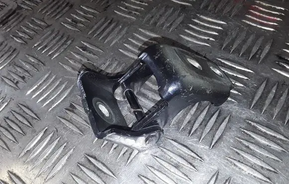 Renault Megane III Front door lower hinge 804200003
