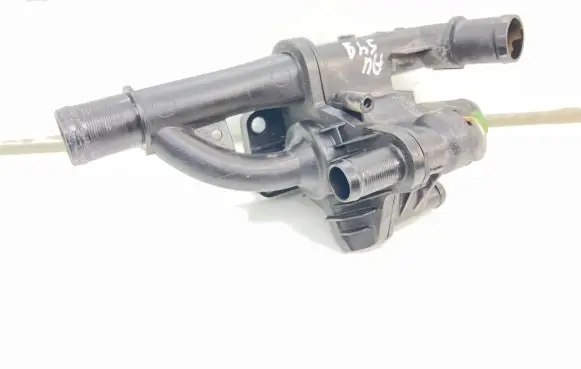 Thermostat/thermostat housing