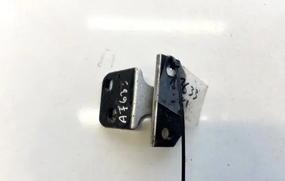 Rear door lower hinge