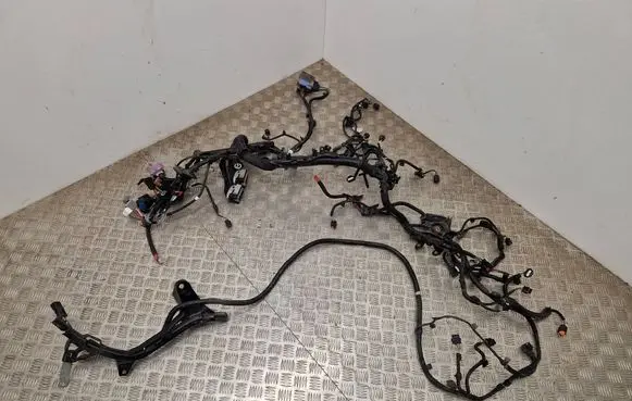 Renault Scenic IV - Grand scenic IV Engine installation wiring loom 240111468S 0144
