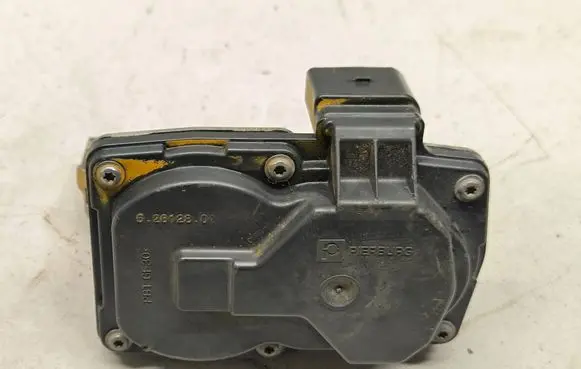 Volkswagen Tiguan Throttle valve 3Q0253691