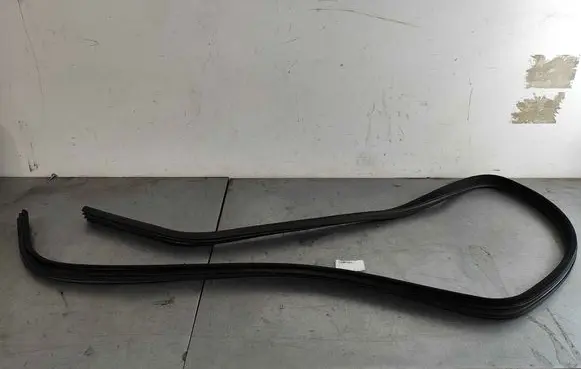 Maserati Quattroporte Rubber seal rear door 67479800
