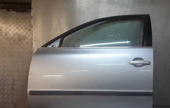 Volkswagen PASSAT B5.5 Front door