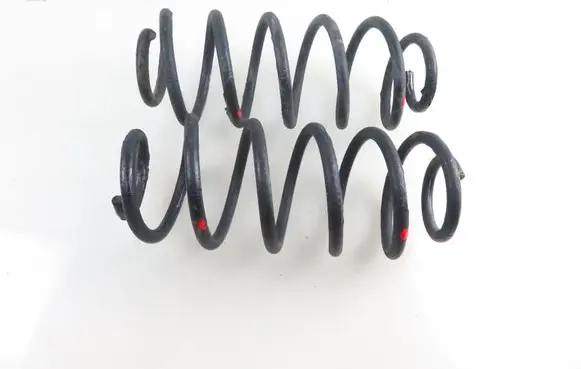 Rear coil spring