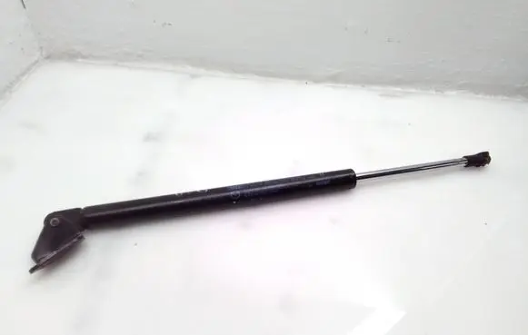 Tailgate/trunk strut/damper