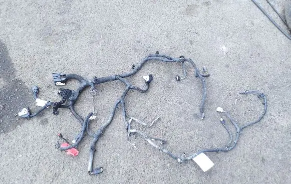 Other wiring loom