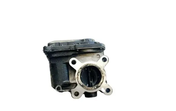 Renault Laguna III Throttle valve 8200619046 h8200620254