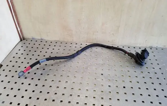 BMW X5 E53 Other wiring loom 10299011
