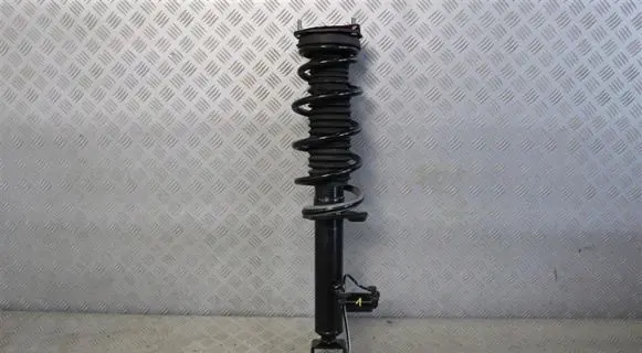 Infiniti Q60 Rear shock absorber with coil spring 