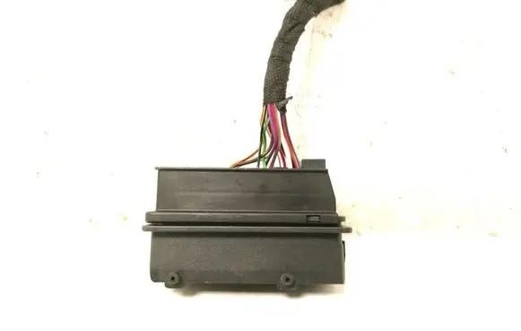 Volkswagen ID.4 Other wiring loom 1EA973262A