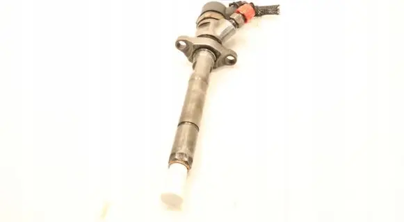 Citroen C4 I Fuel injector 0445110259