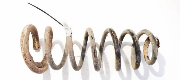 Peugeot Expert Rear coil spring 