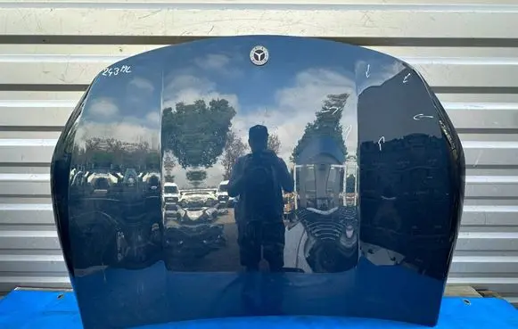 Engine bonnet/hood