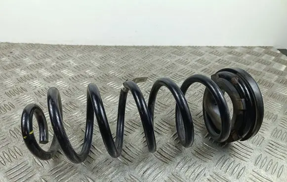 Rear coil spring