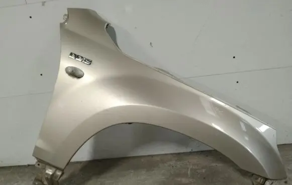Suzuki Grand Vitara II Fender