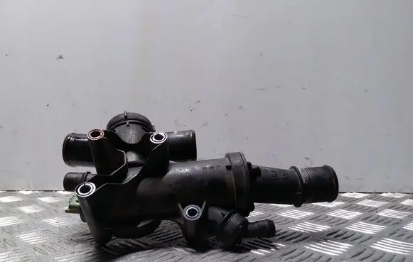 Thermostat/thermostat housing