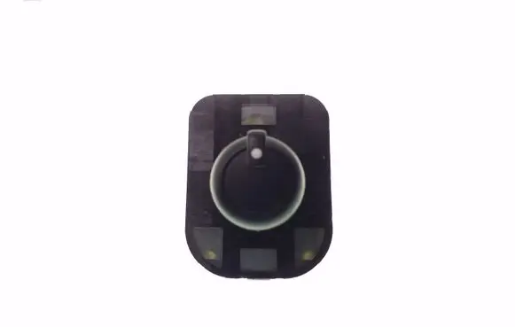 Wing mirror switch