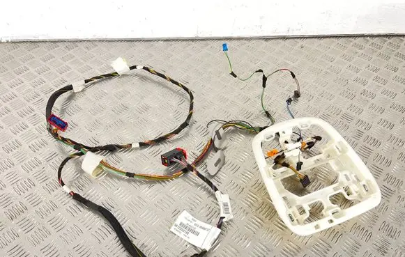 Peugeot Expert Other wiring loom 9812353780