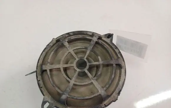 Renault Scenic II - Grand scenic II Front door speaker