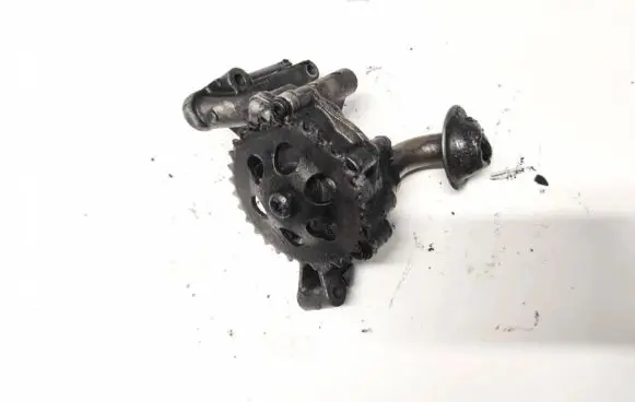 Volkswagen PASSAT B5.5 Oil pump 038115105b