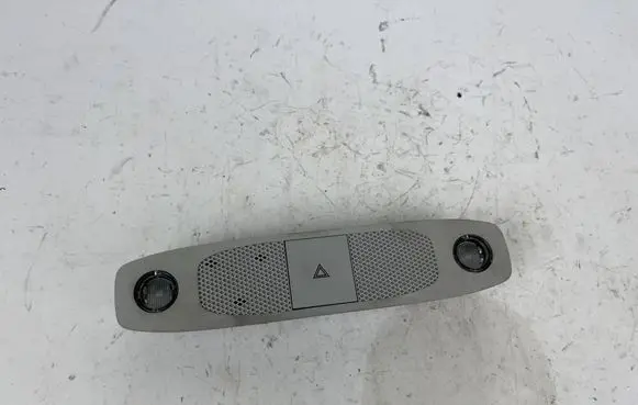 Tesla Model 3 Front seat light P109257300K