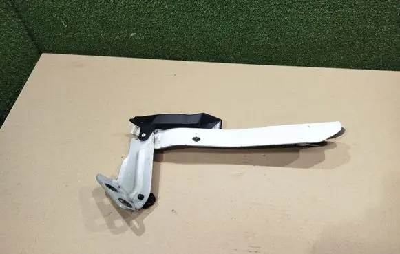 Renault Master III Engine bonnet/hood hinges 654000006R