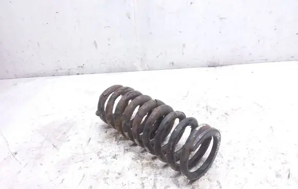 Rear coil spring