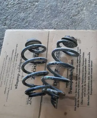 Nissan Qashqai Rear coil spring