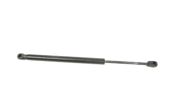 Tailgate/trunk strut/damper