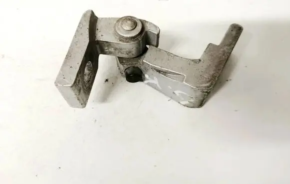 Rear door lower hinge