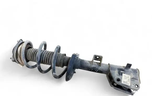 Chrysler Pacifica Front shock absorber with coil spring P68228726AD 01422203435 01822143342