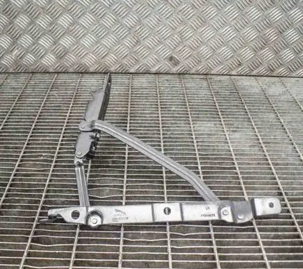 Tailgate/trunk/boot hinge