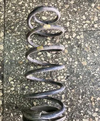 Rear coil spring