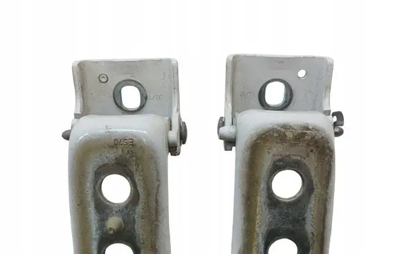 Peugeot Expert Front door hinges set 