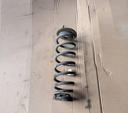 Rear coil spring