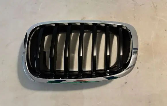 BMW X6 E71 Front grill 7305589
